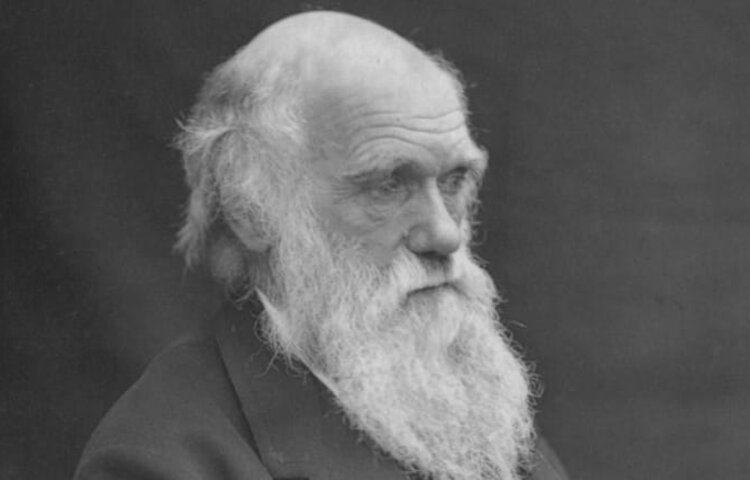 Image of STEM - Charles Darwin Quiz